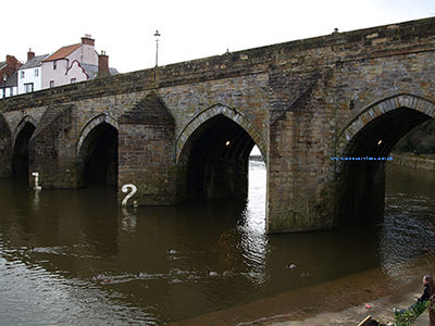 view from the boathouse in Durham